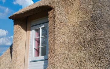 Shortacross thatch roof disadvantages